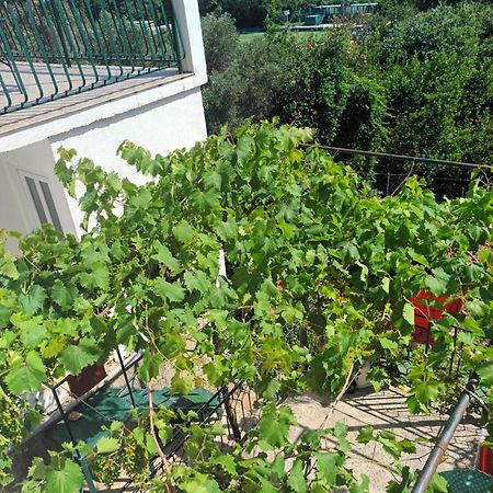 Apartment Jo Dubrovnik Dış mekan fotoğraf