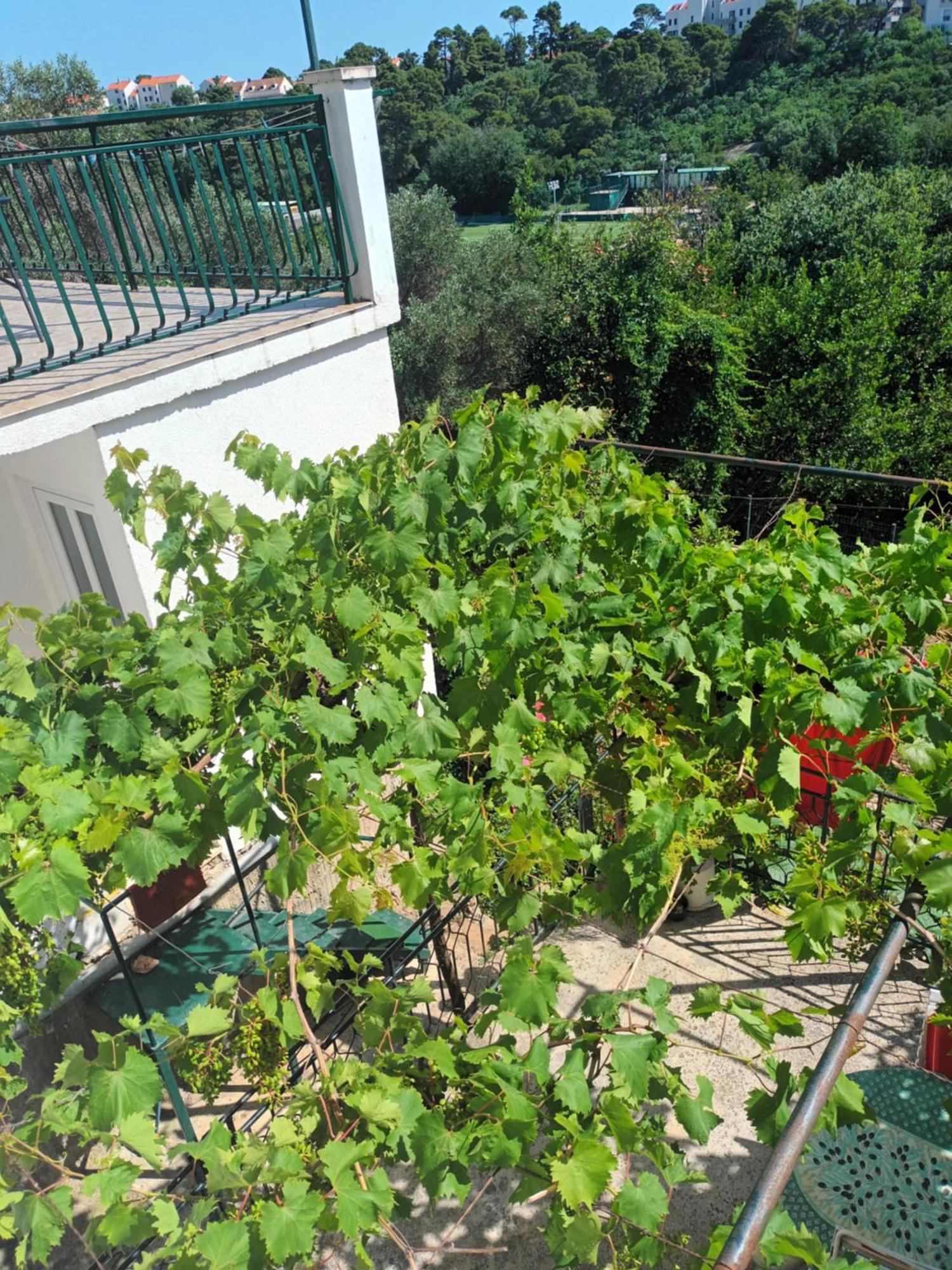 Apartment Jo Dubrovnik Dış mekan fotoğraf